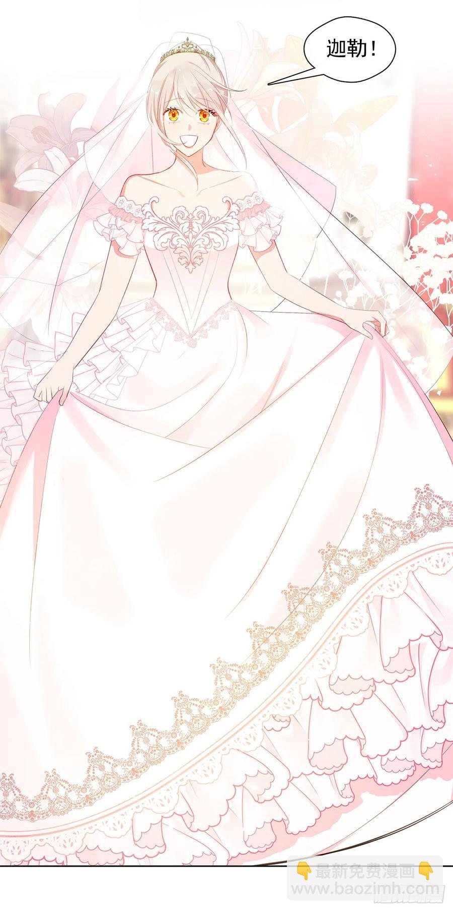 番外8.盛大的婚礼(1/2)-第99话