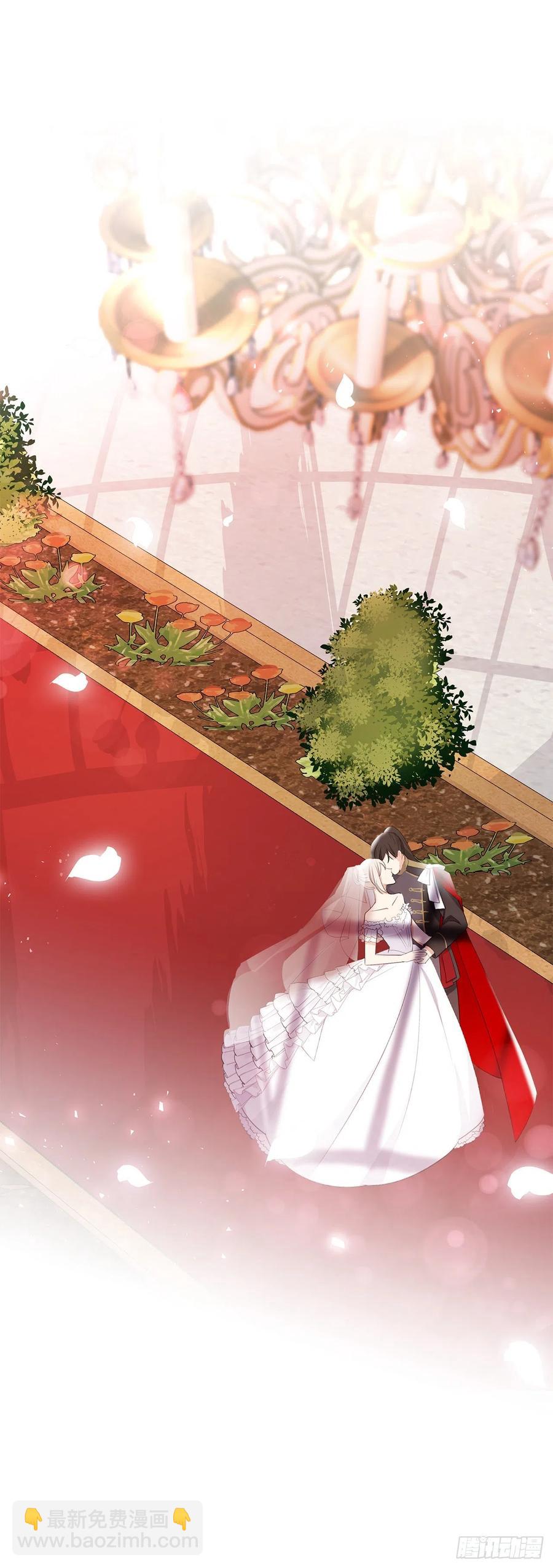 番外8.盛大的婚礼(1/2)-第99话