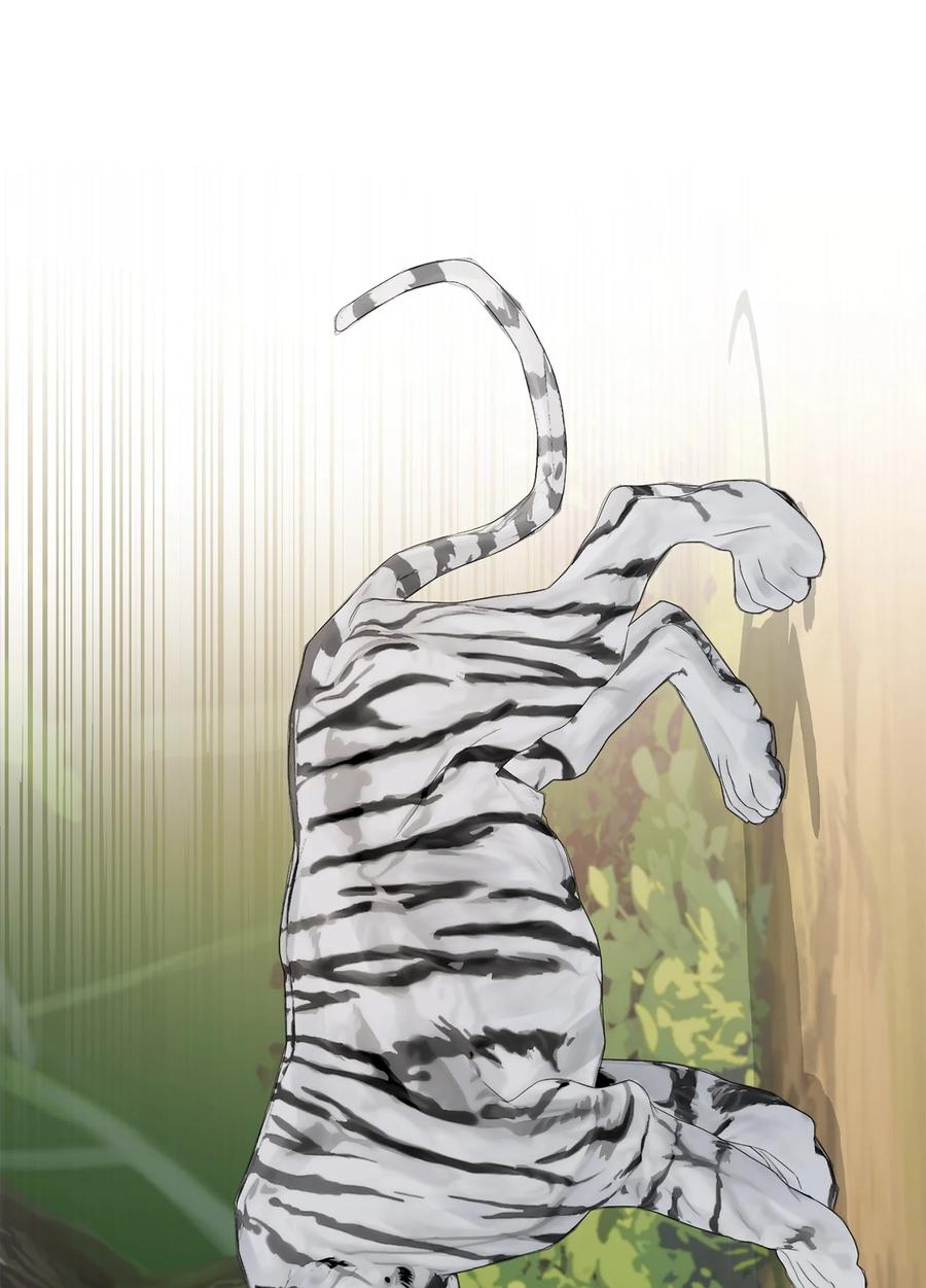 24 白虎(1/2)-第25话