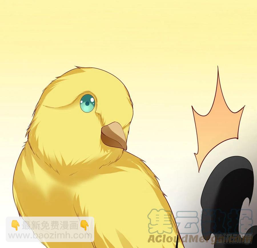 132话 异变的妖兽(1/2)-第133话