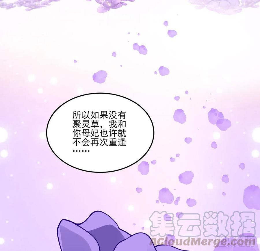 皇女的生存法則 - 68話 聚靈草的緣分(1/2) - 5