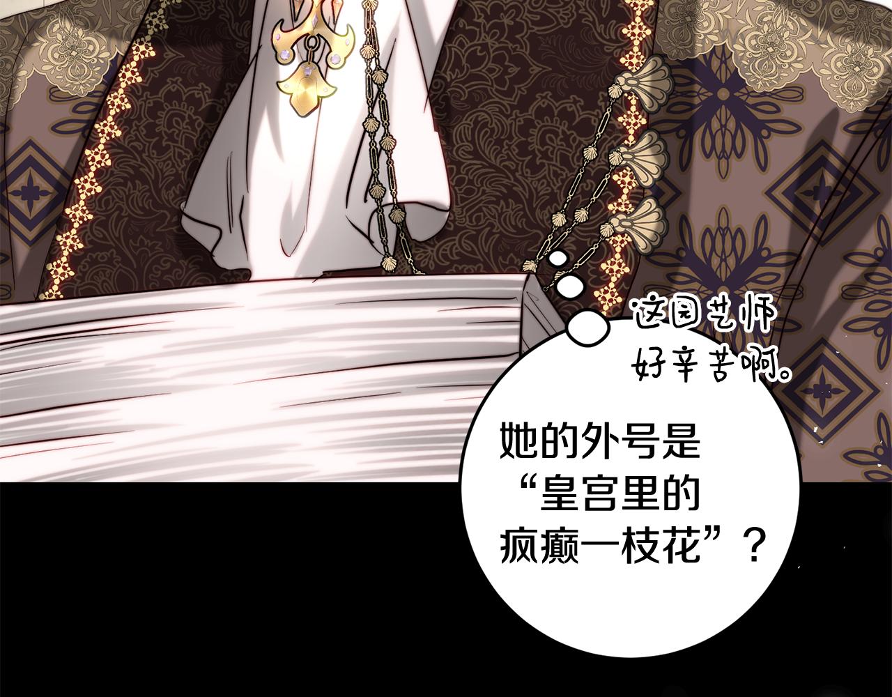 第41话 截然不同的求婚(1/4)-第41话