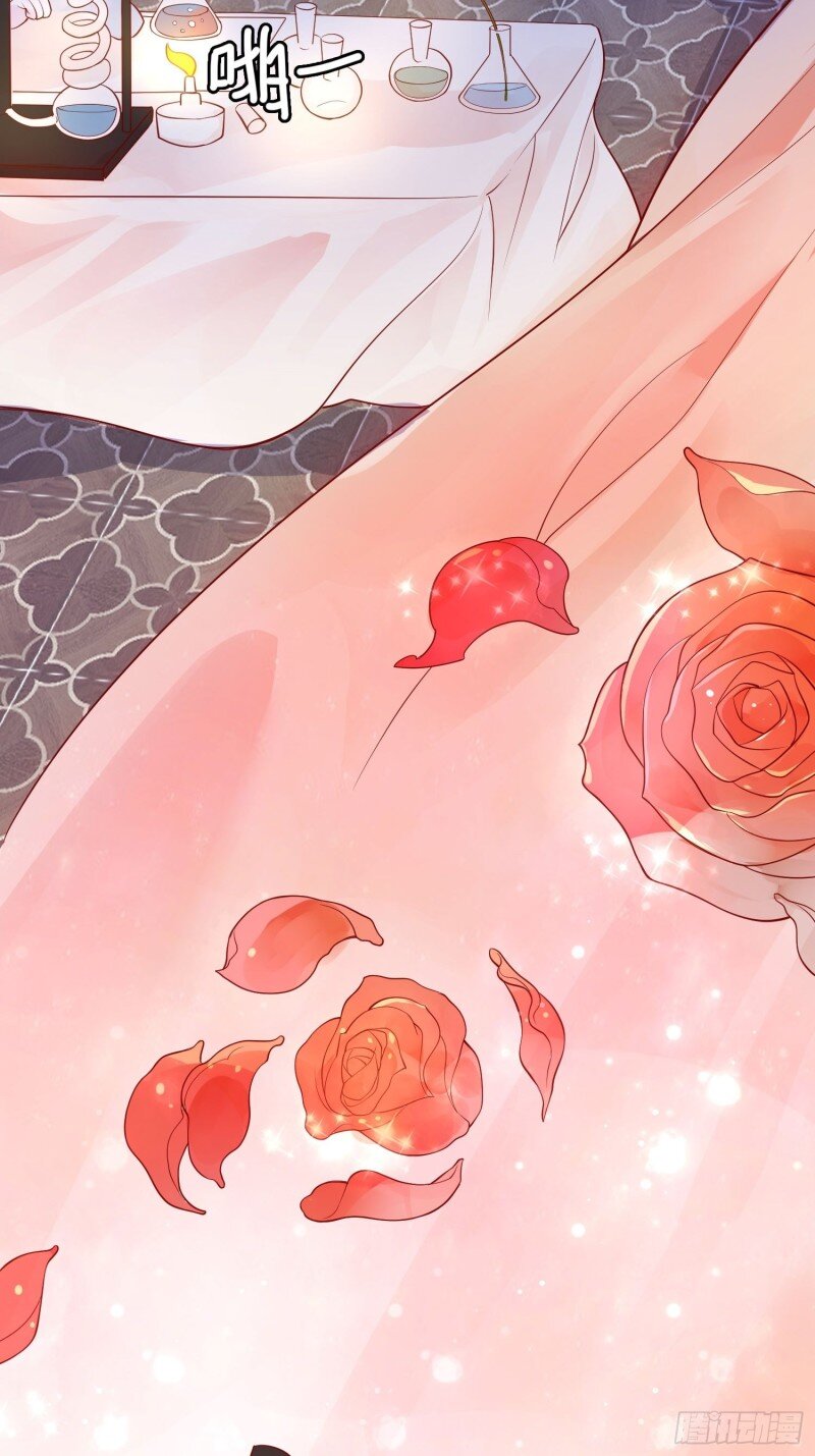 11 第九话 送你一朵小花花-第11话