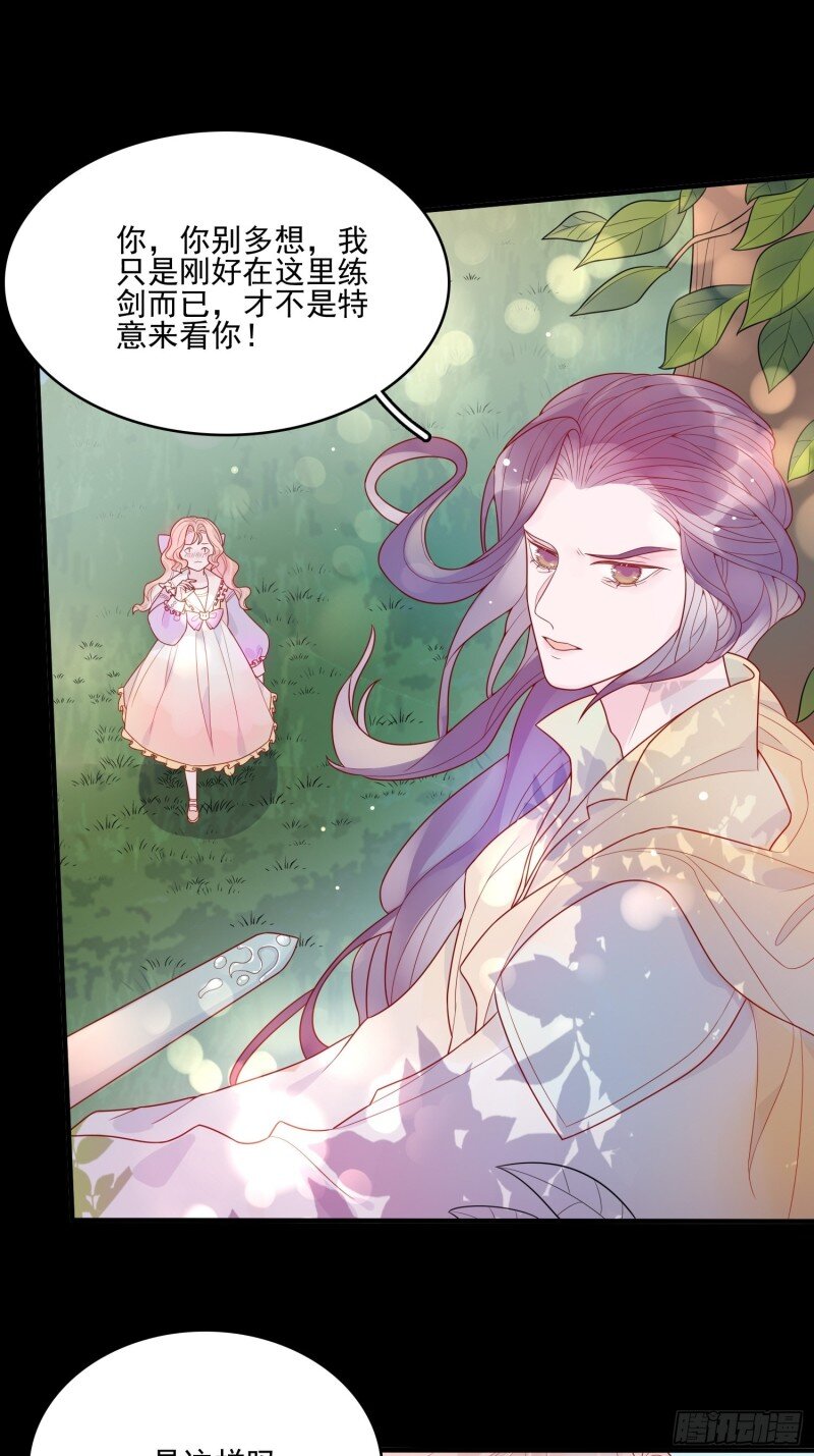 17 第十五话 小骑士的心动-第17话