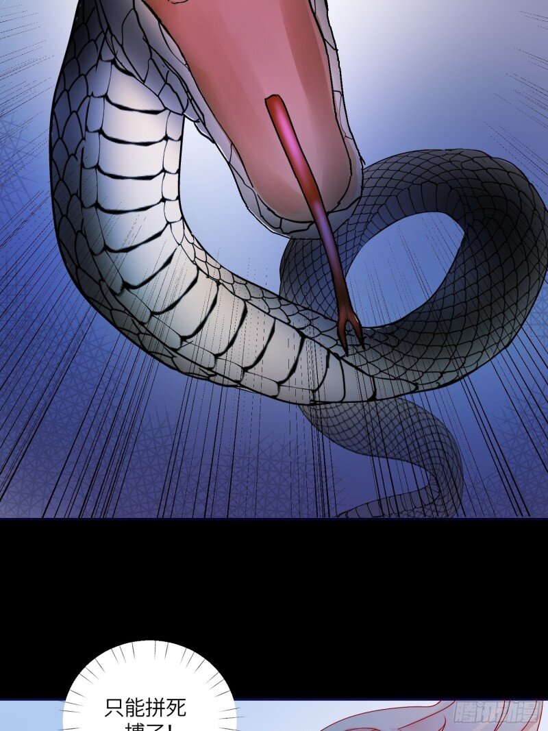 73 第七十一话 蛇！-第73话