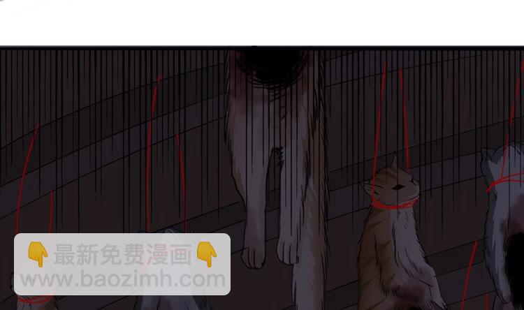 第12话 煮了它们(1/2)-第13话