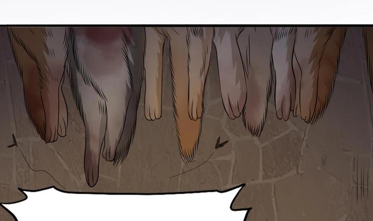 第12话 煮了它们(1/2)-第13话