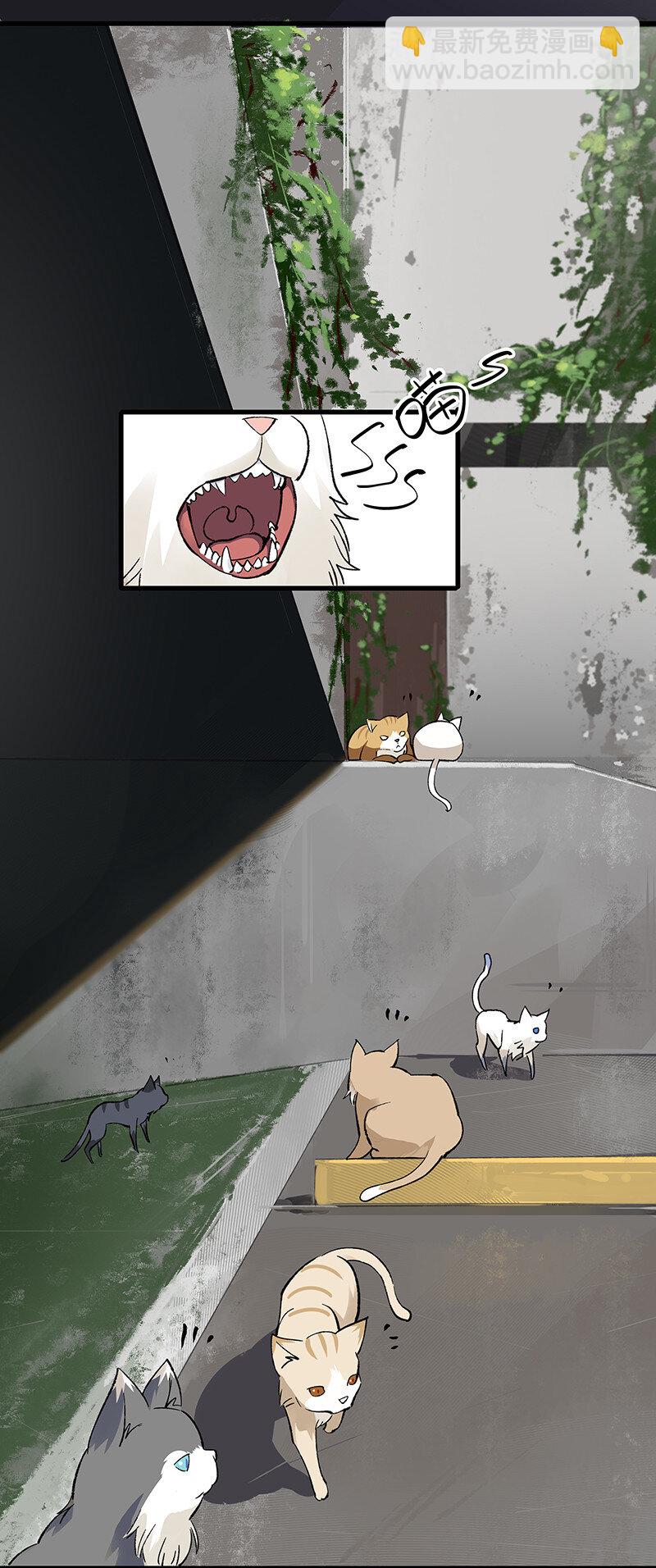 24 补灵师-第29话