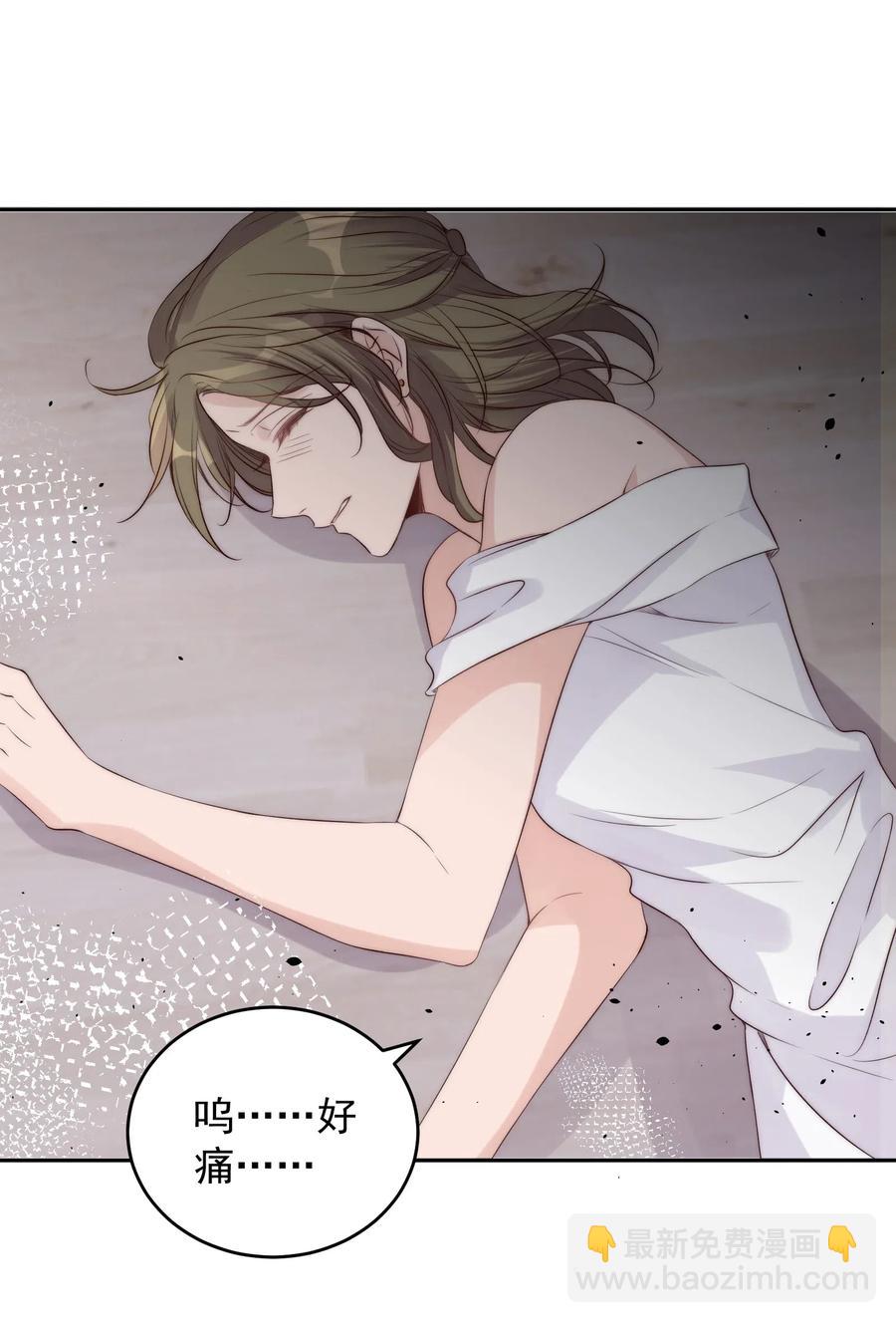 皇上別鬧 - 036 流產(1/2) - 6