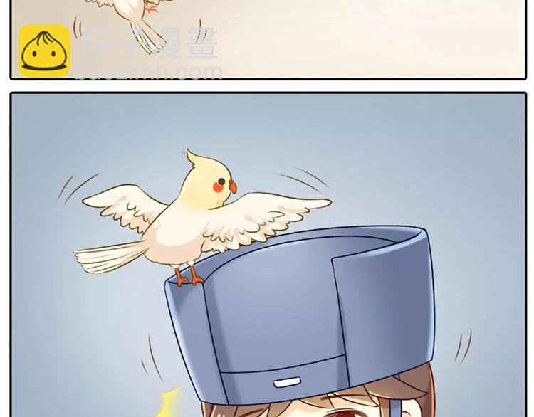 第12话 以后好好跟着我吧！-第13话