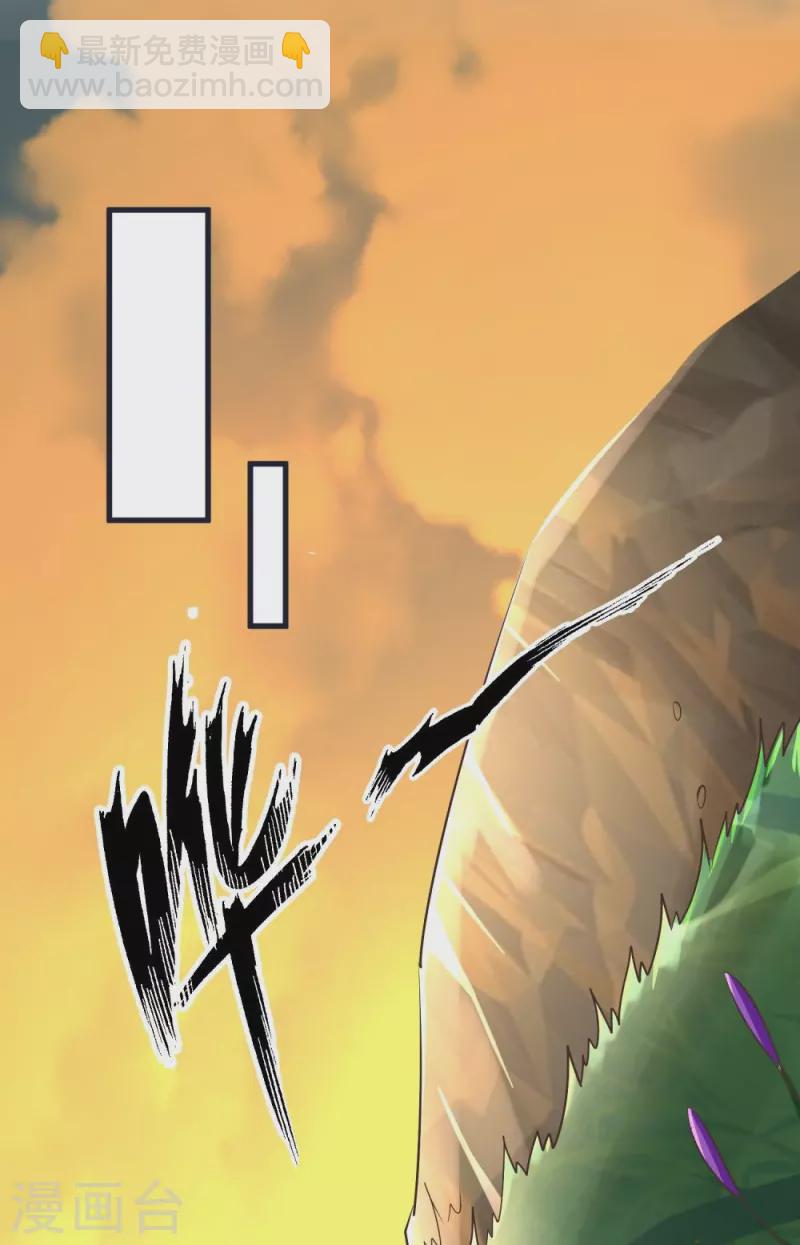 第64话 小金针鸟-第67话