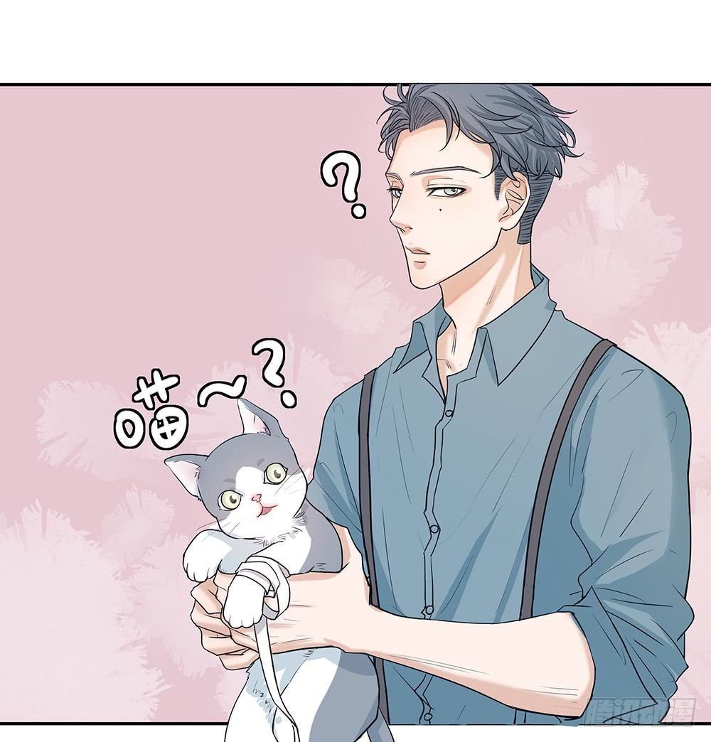 特别的日子(1/2)-第13话