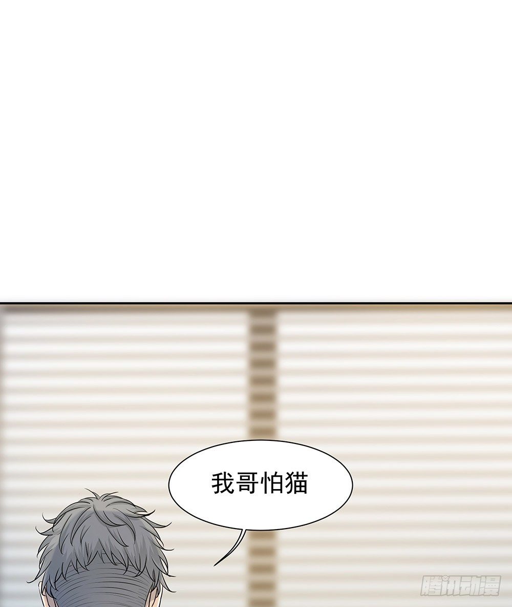 特别的日子(1/2)-第13话