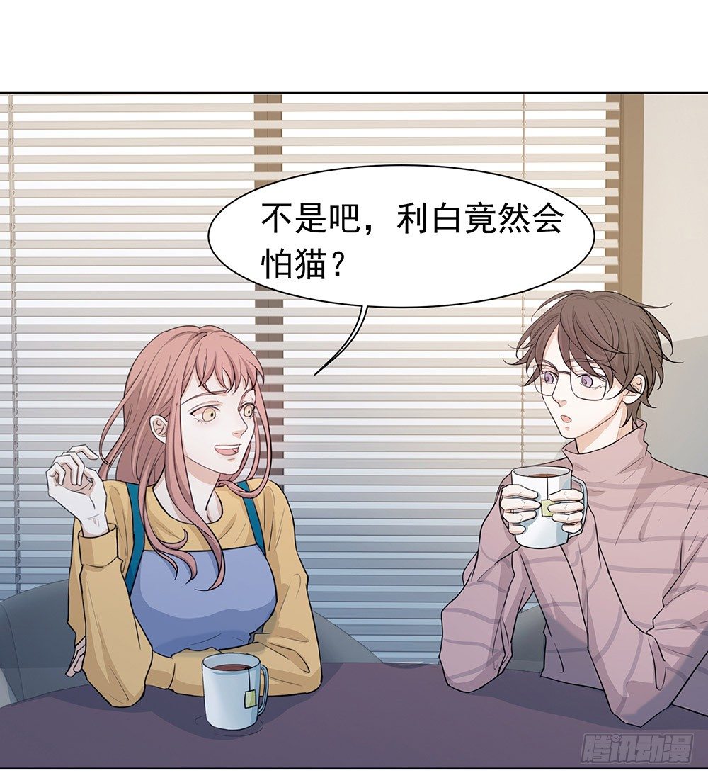 特别的日子(1/2)-第13话