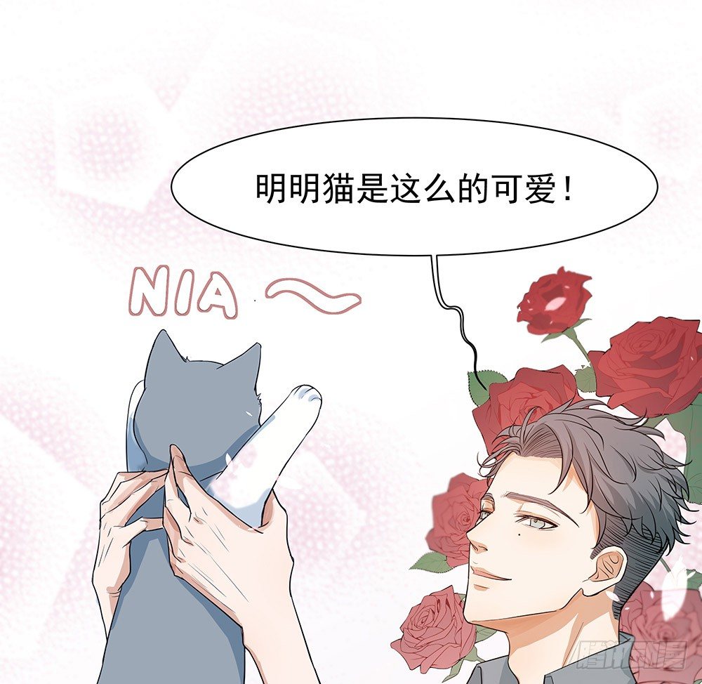 特别的日子(1/2)-第13话