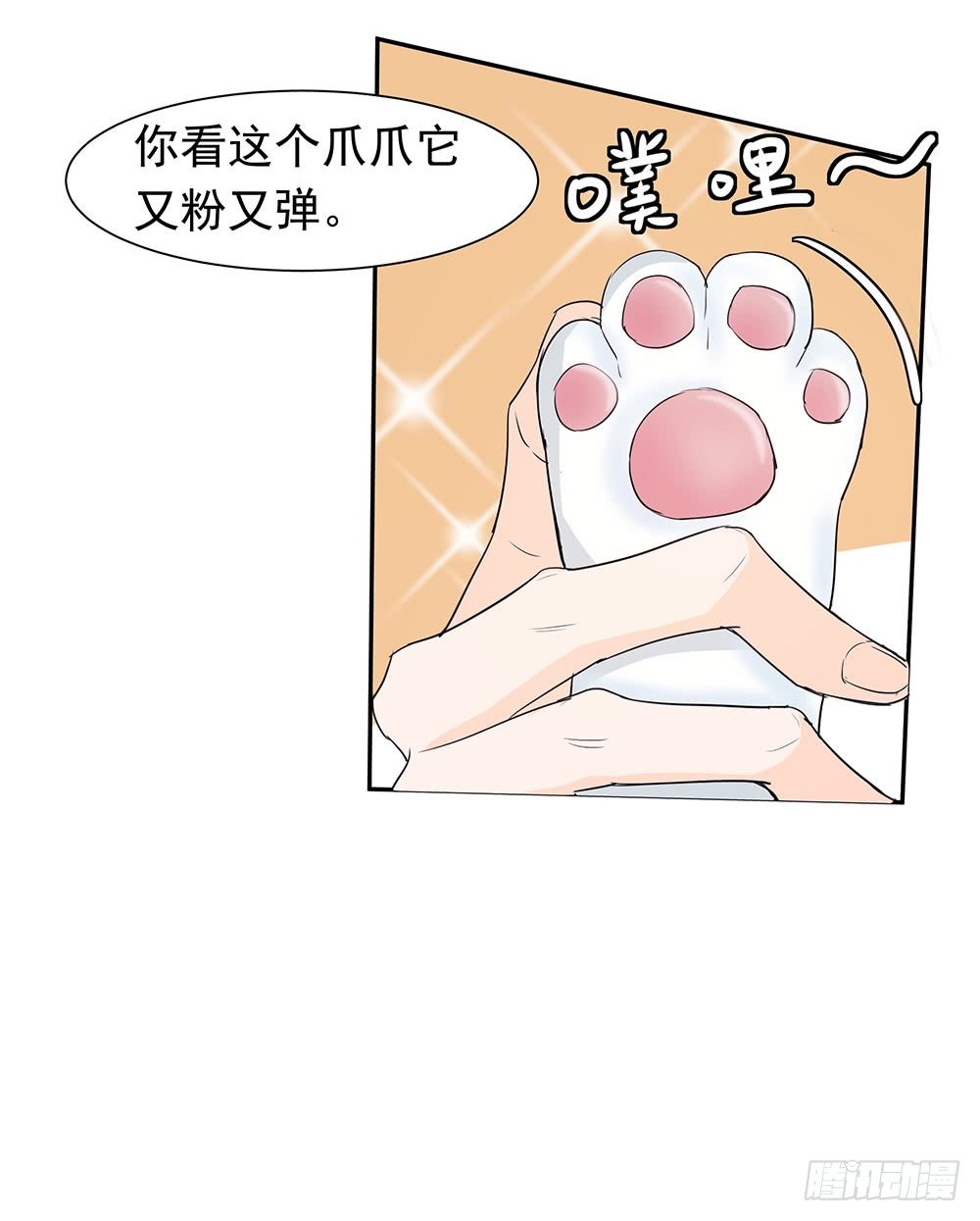 特别的日子(1/2)-第13话