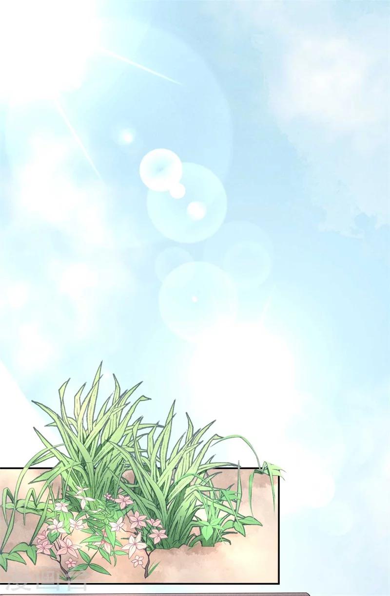 第22话 棉花，干得漂亮！-第23话