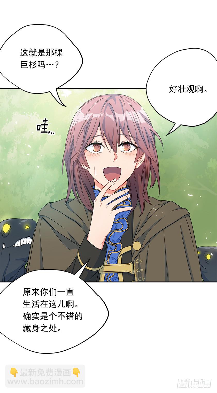 107.巨杉-第109话