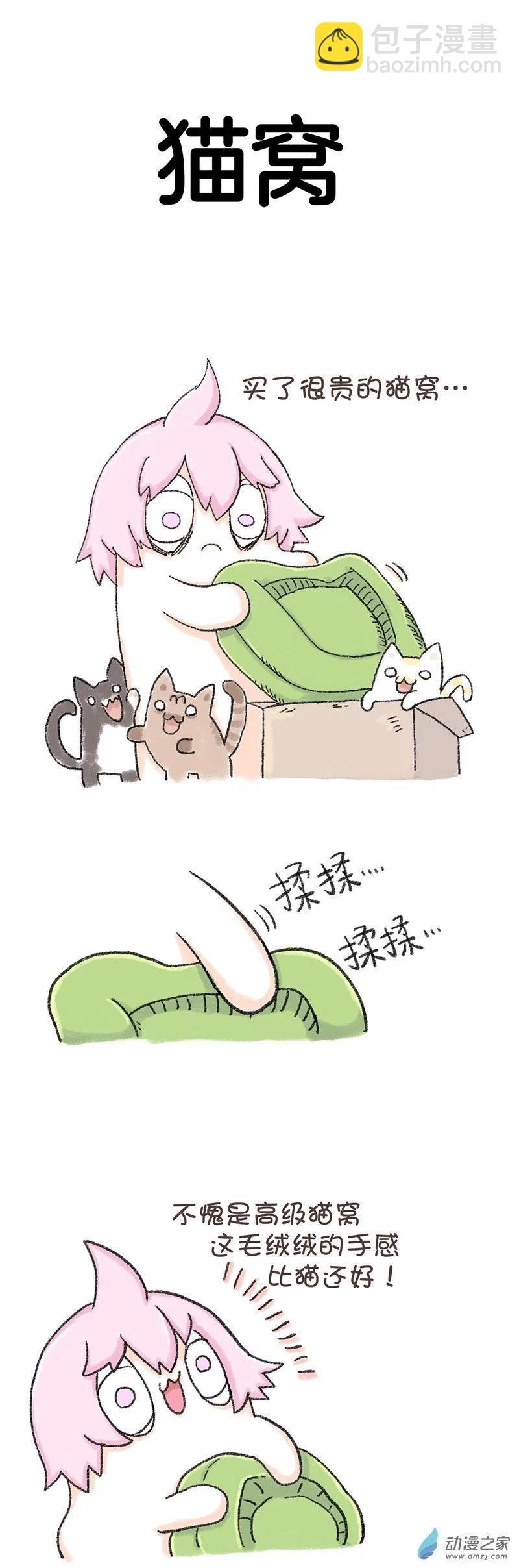 第38话 猫猫报恩-第37话