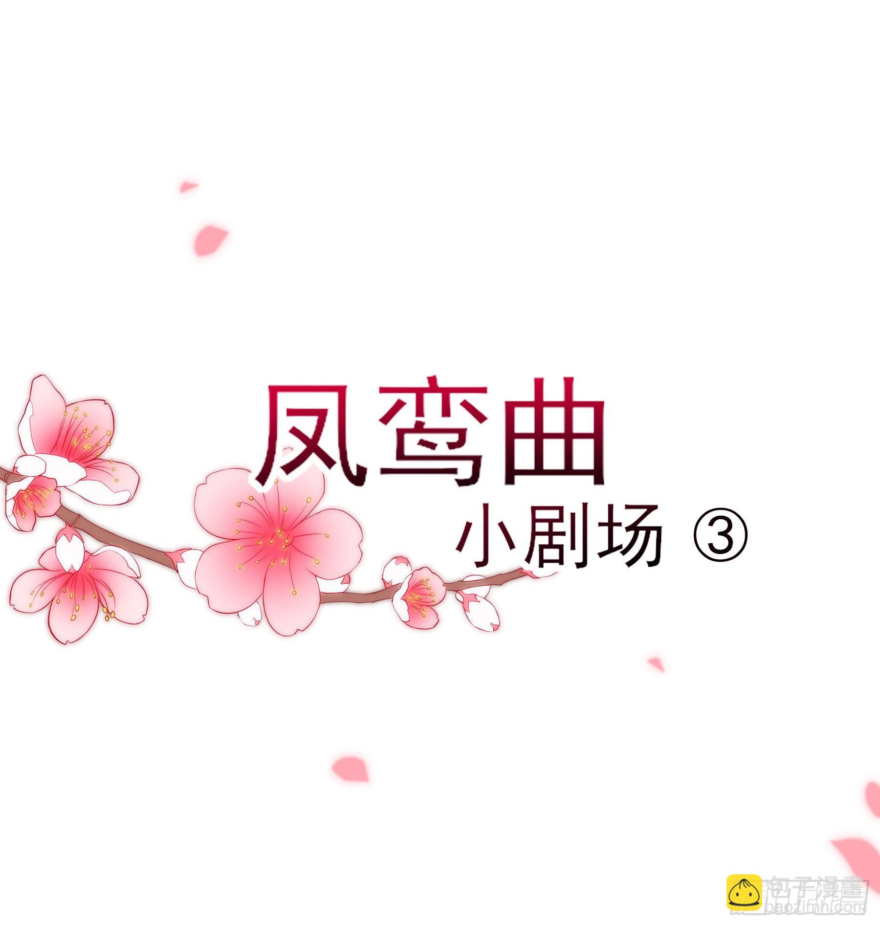 凤鸾篇&middot;27话 小剧场-第29话