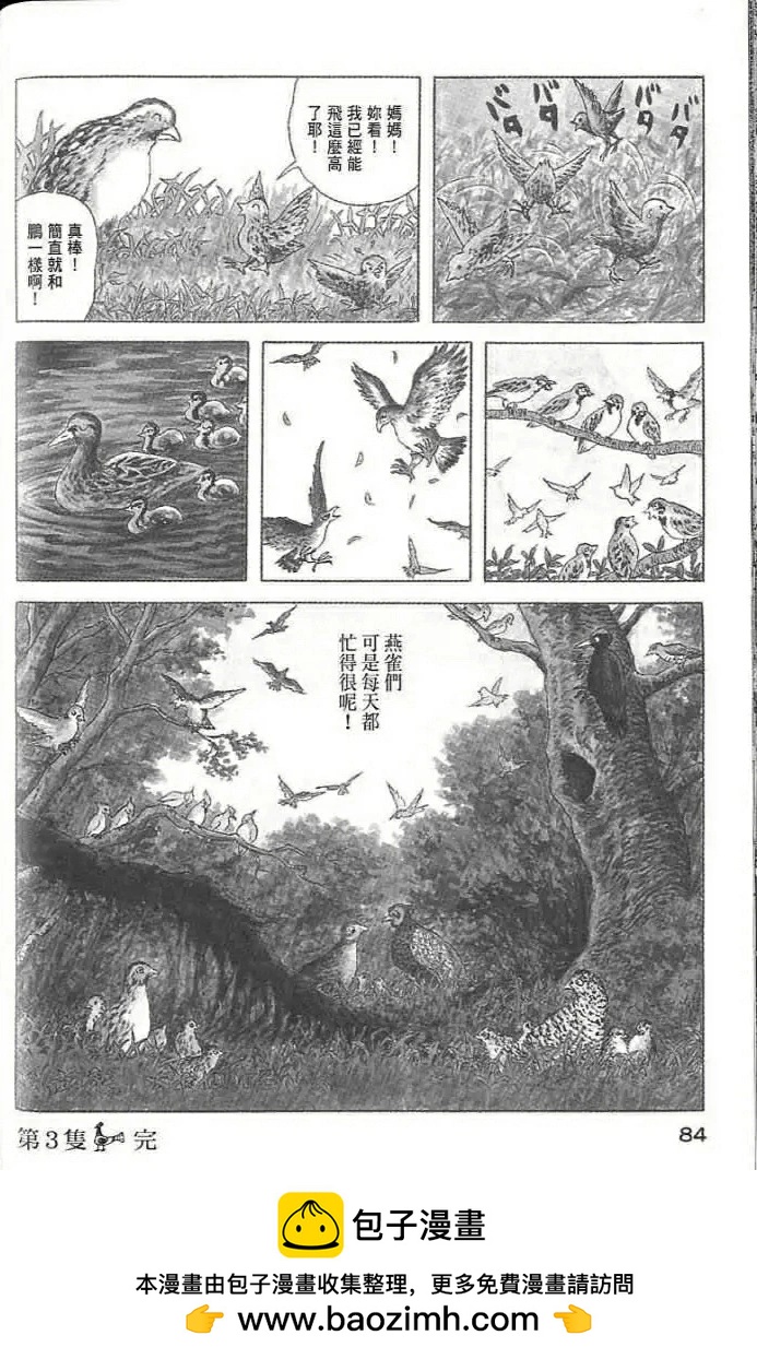 幻想鳥類物語 - 鵬的墜落 - 4