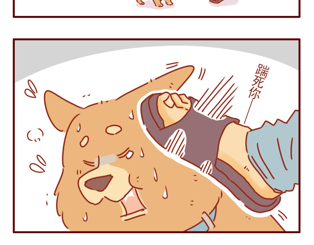 第12话 办教学的初衷-第13话