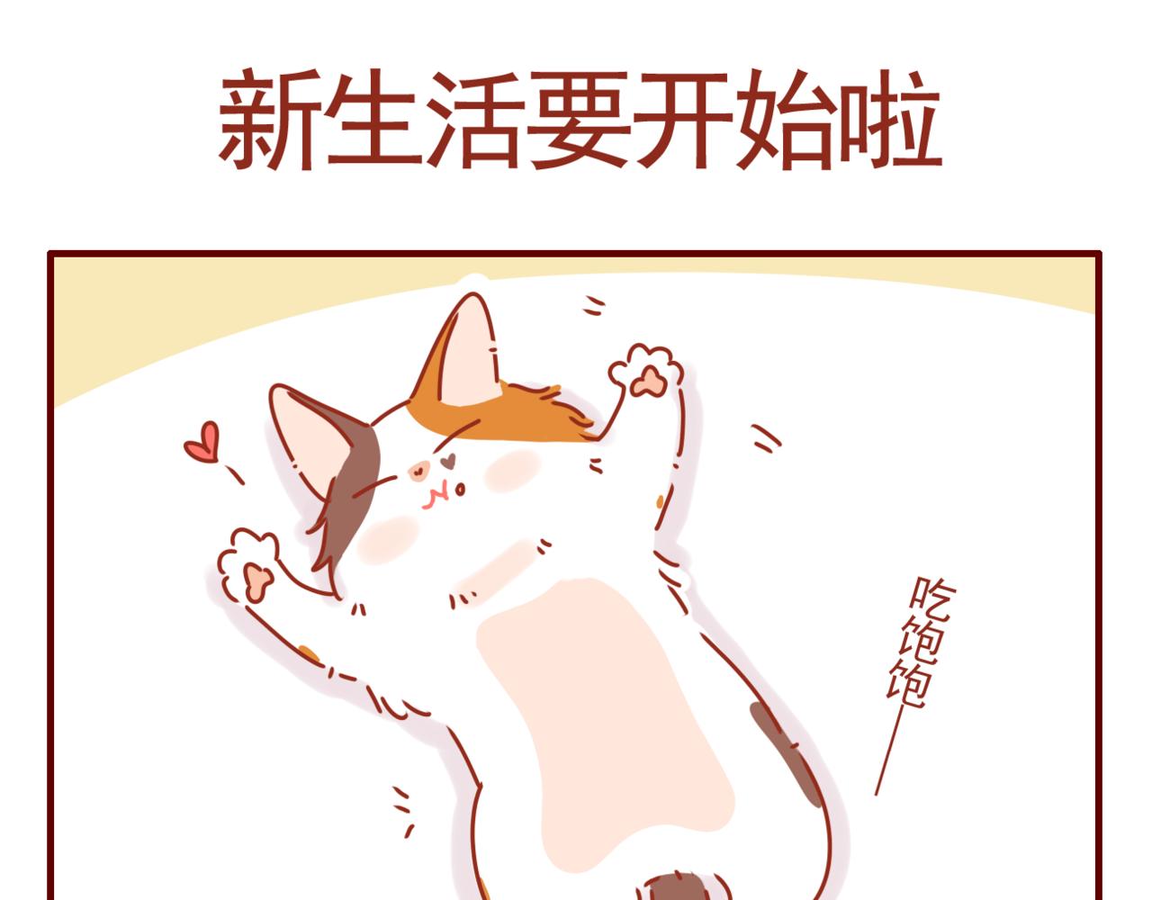 第38话 新生活开始啦-第39话