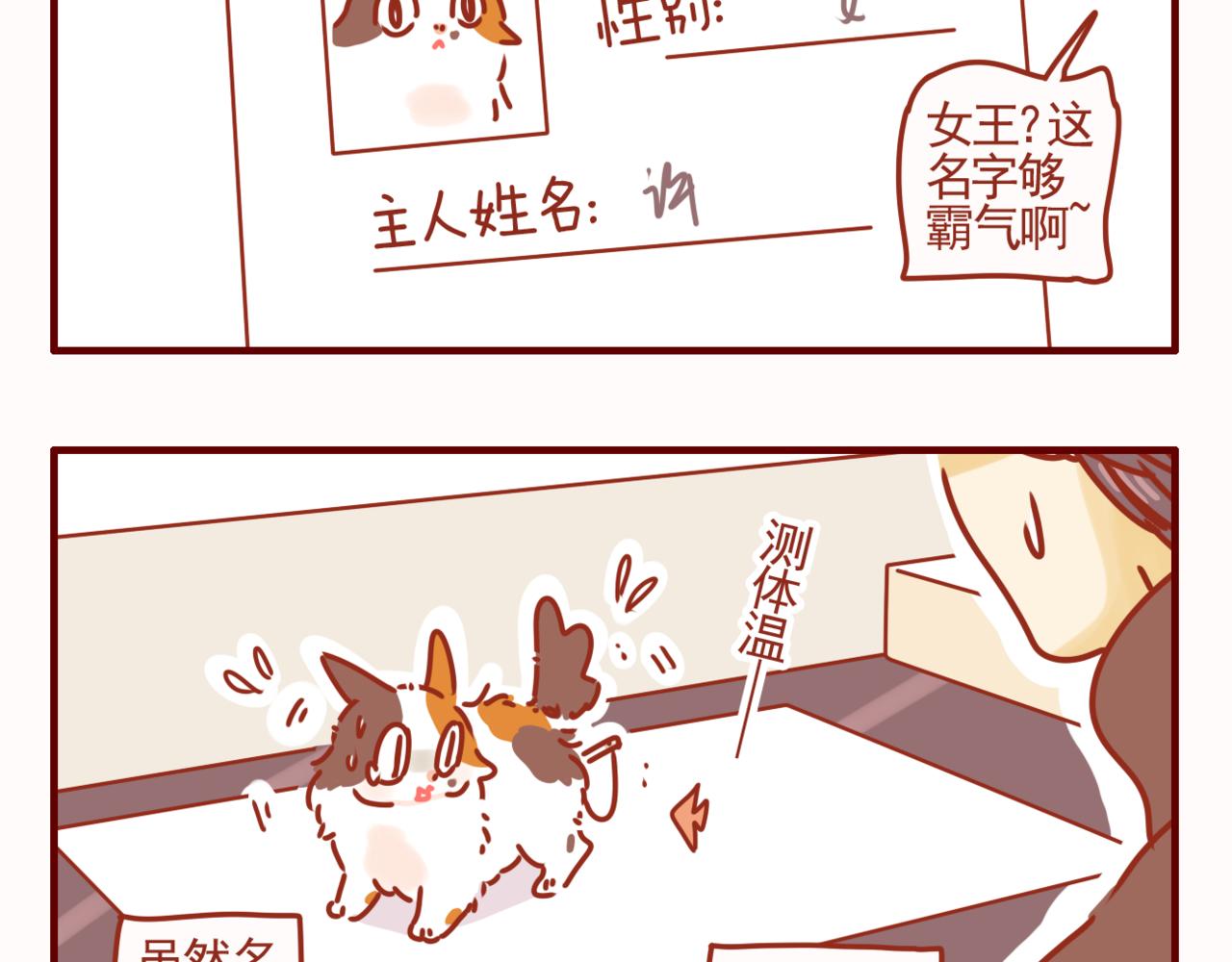 第40话 有猫就是不一样-第41话