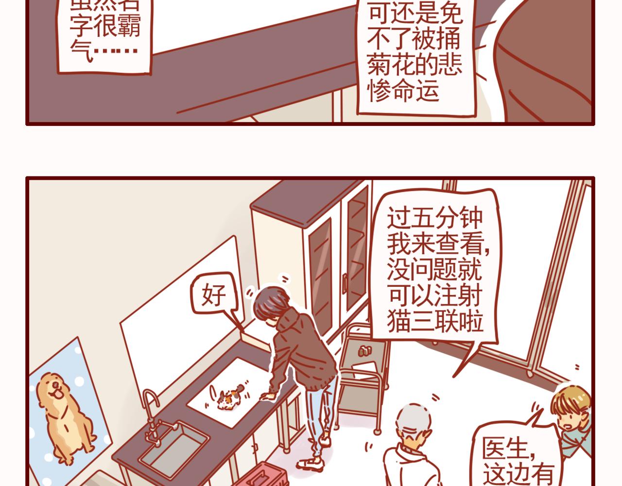 第40话 有猫就是不一样-第41话