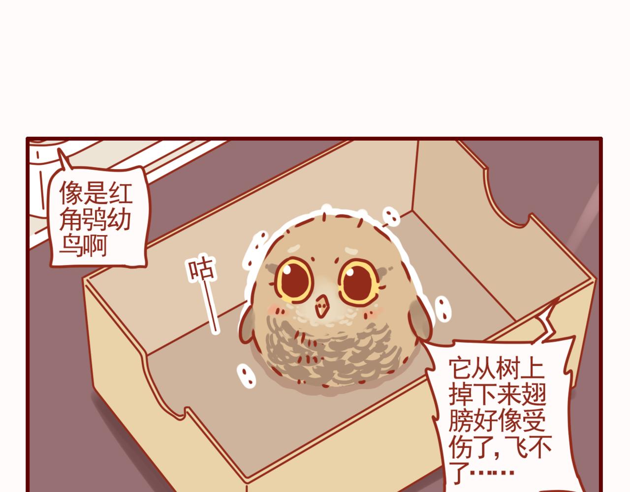 第40话 有猫就是不一样-第41话