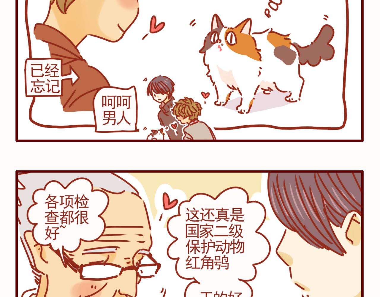 第40话 有猫就是不一样-第41话