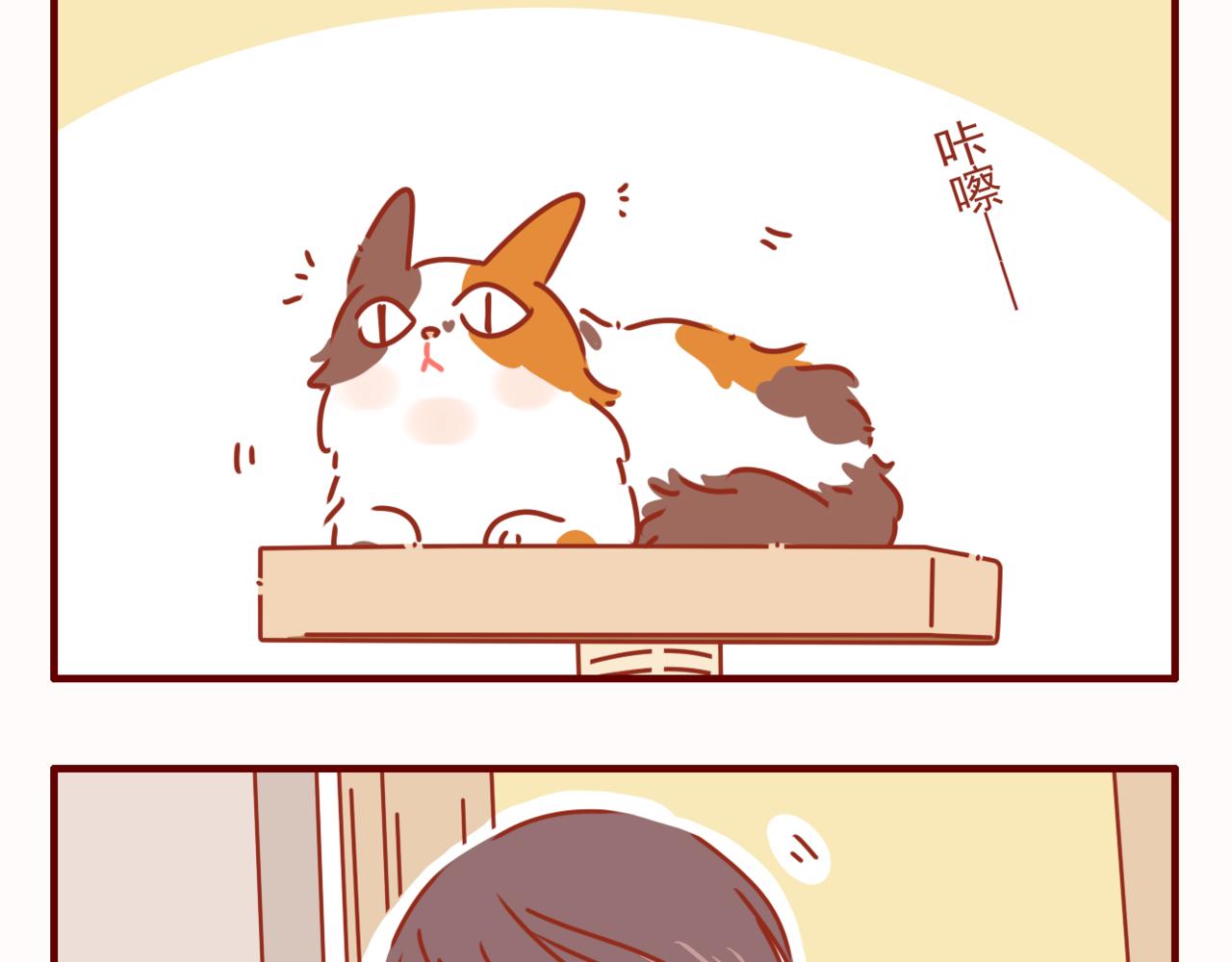 第40话 有猫就是不一样-第41话