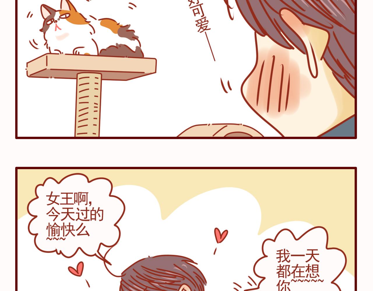 第40话 有猫就是不一样-第41话