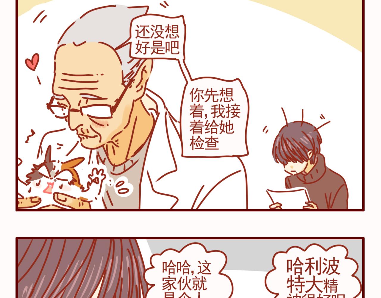 第40话 有猫就是不一样-第41话