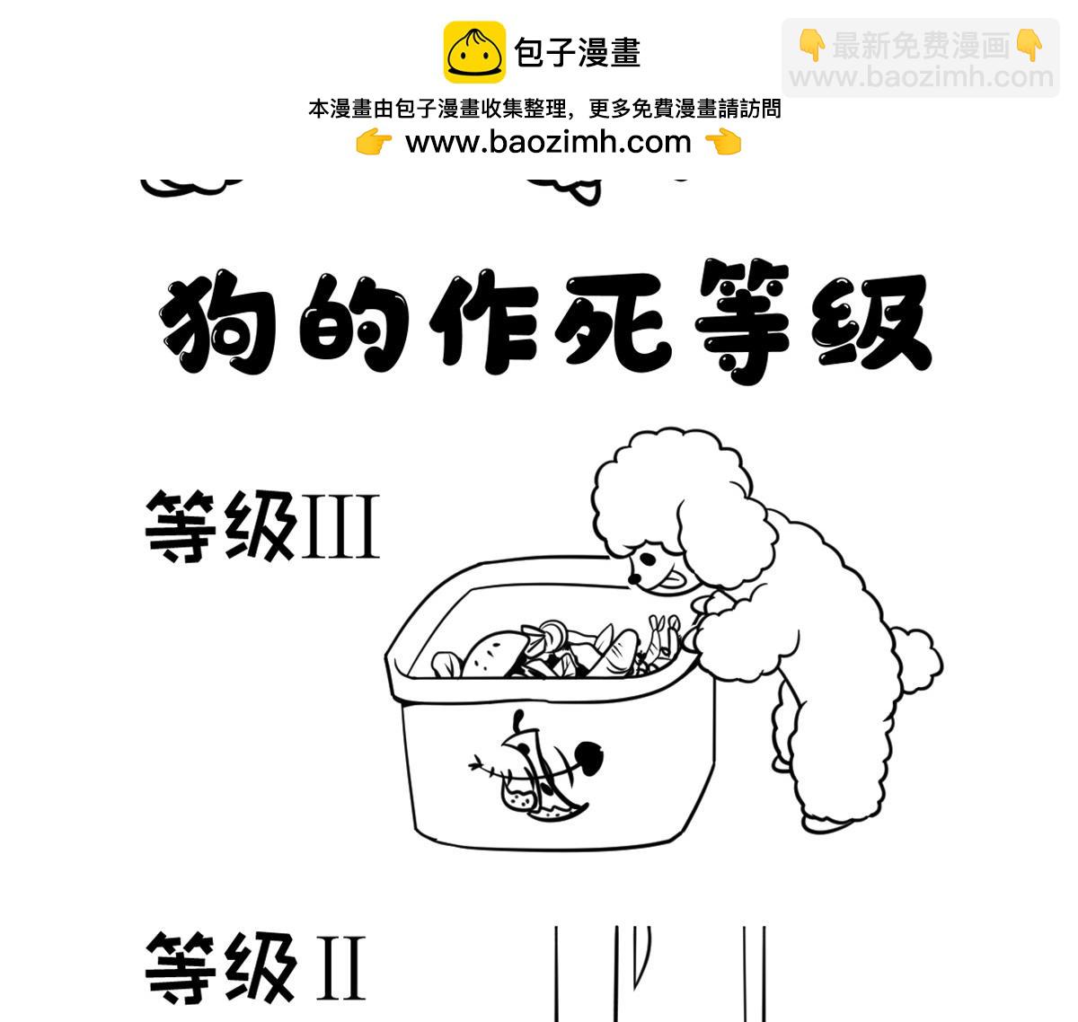 狗狗的作死等级-第13话