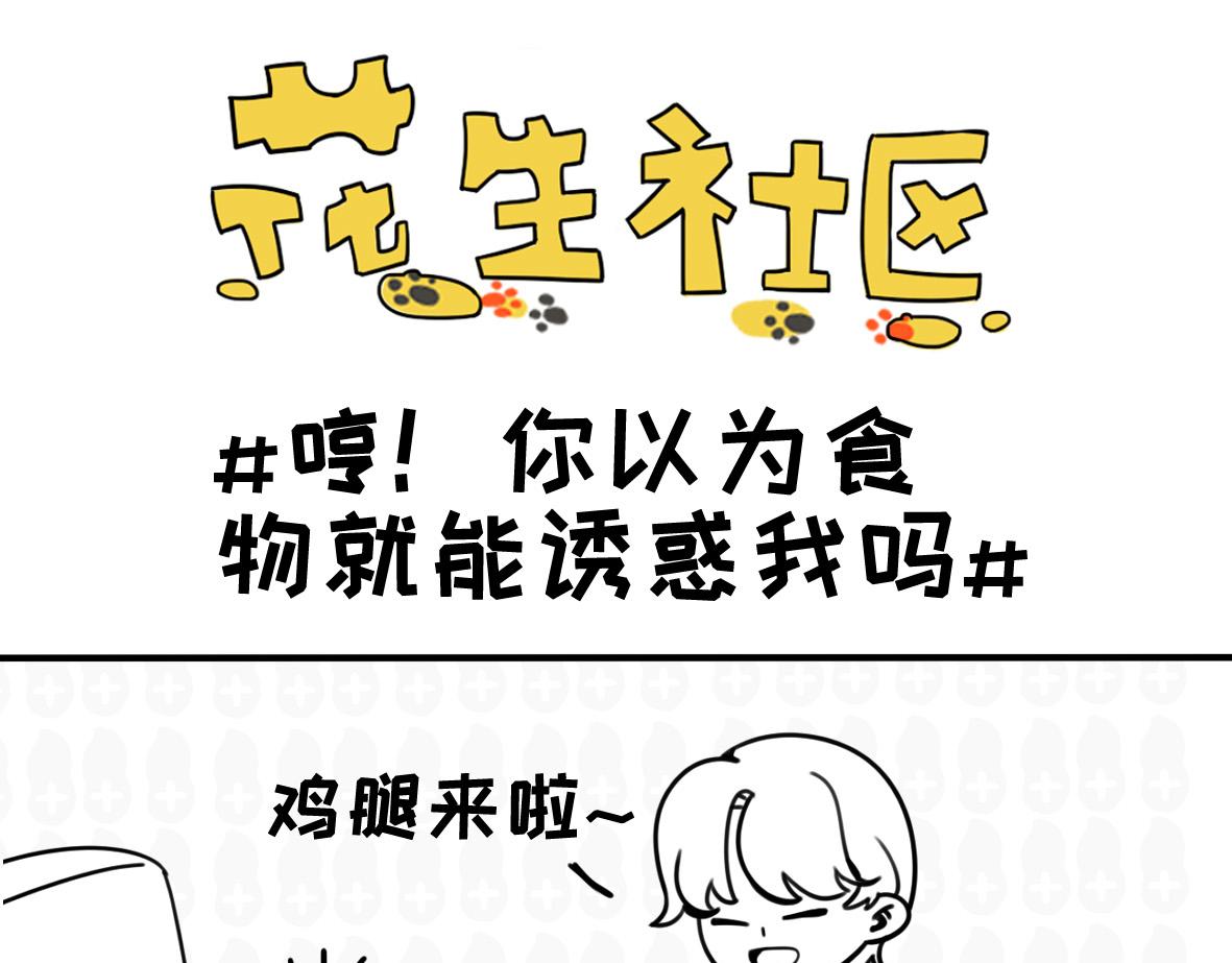 雪橇三傻为什么傻-第17话