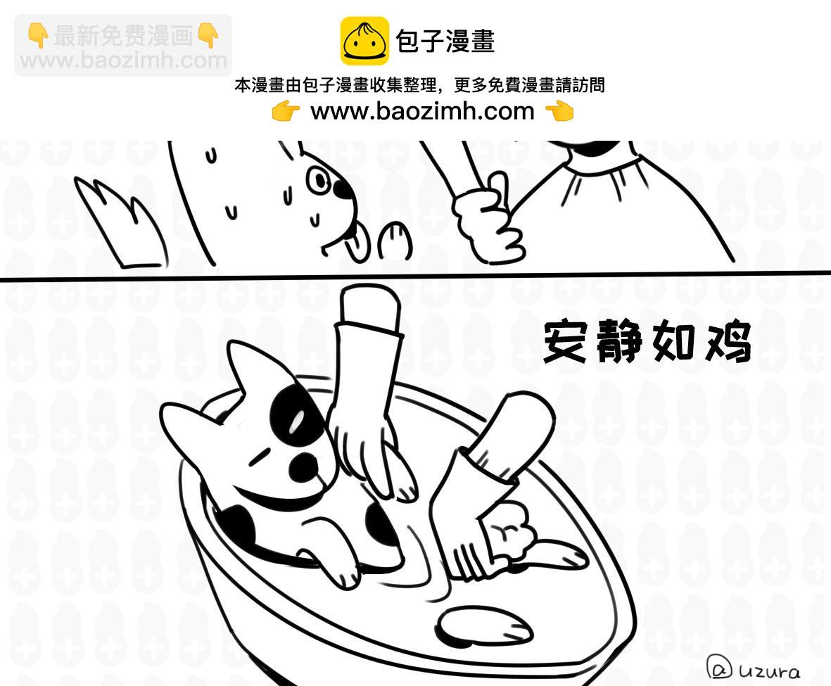 一只会演戏的狗子！-第21话