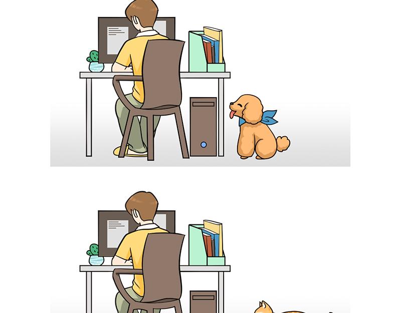 最好的苹果皮给最好的狗子！-第29话