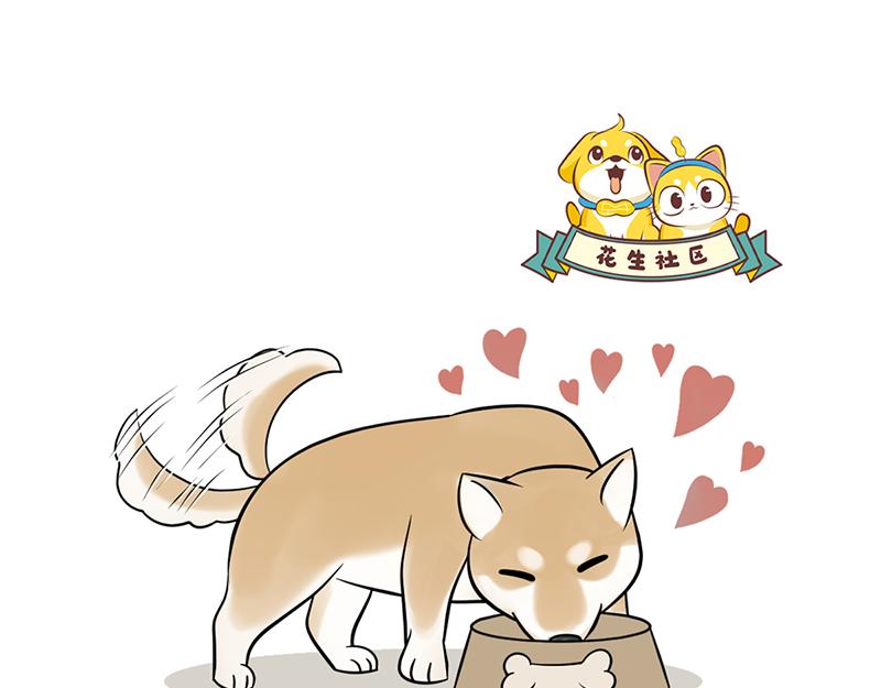 最好的苹果皮给最好的狗子！-第29话