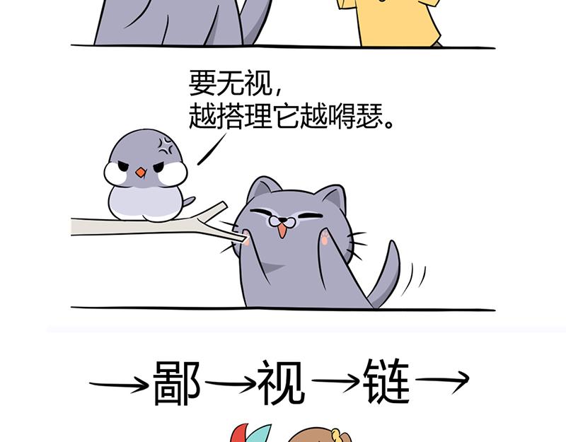 阿喵的作战计划！-第31话