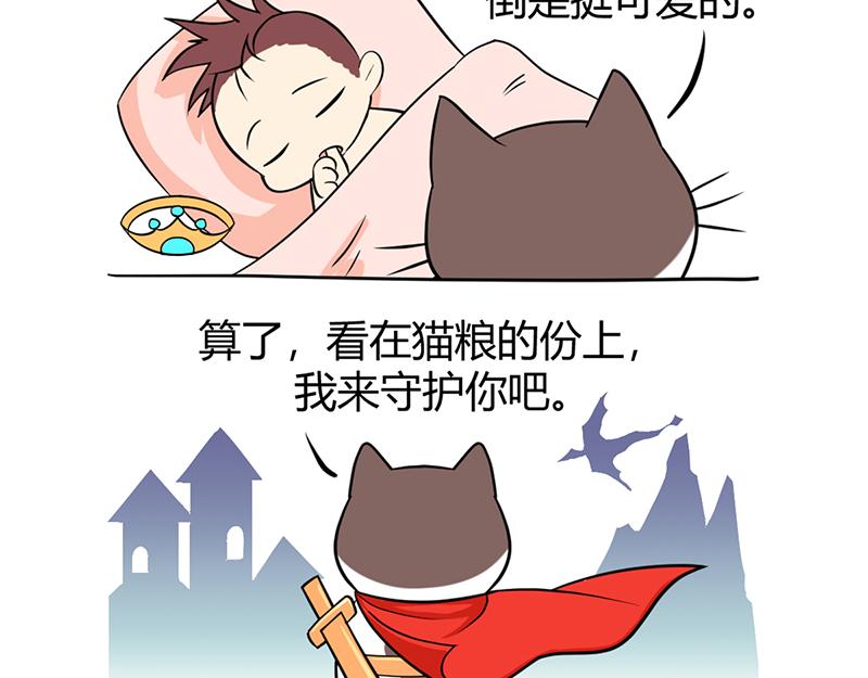 阿喵的作战计划！-第31话