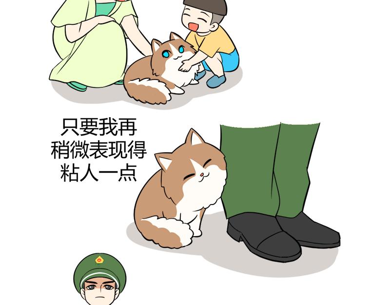 阿喵的作战计划！-第31话