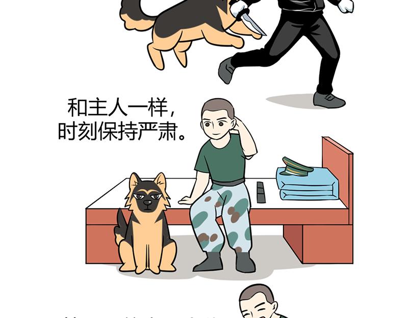 阿喵的作战计划！-第31话