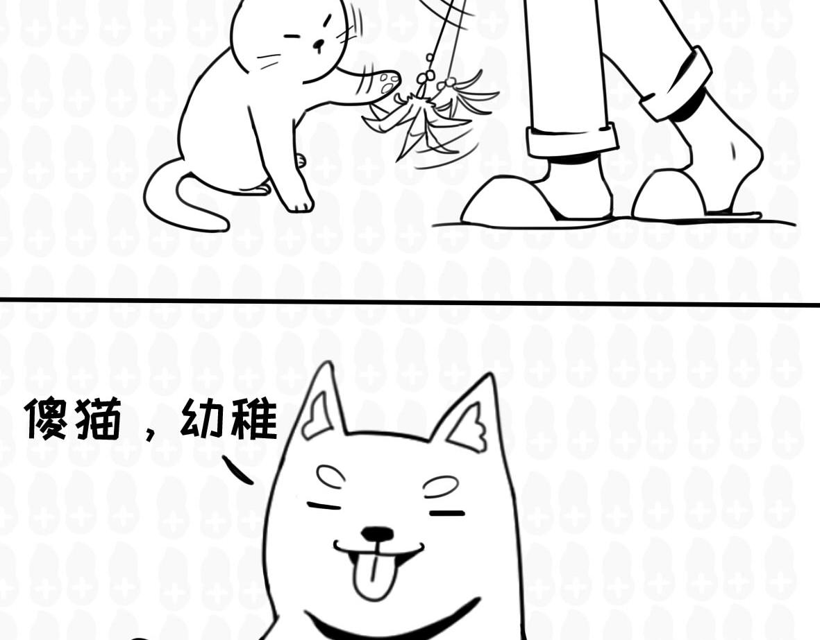 你以为的猫狗双全是什么样的？-第5话