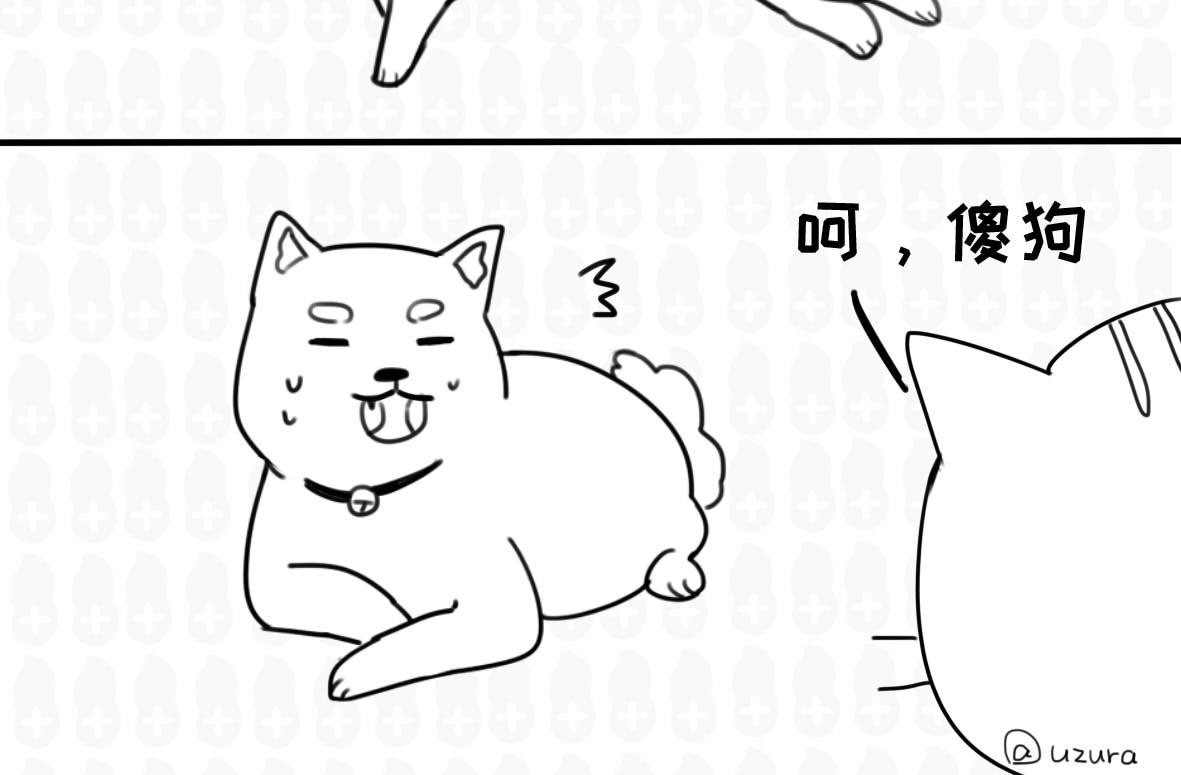 你以为的猫狗双全是什么样的？-第5话