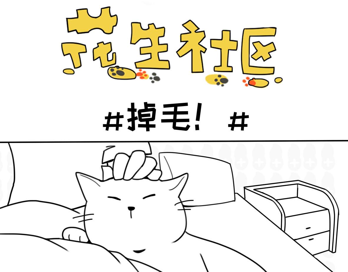 你以为的猫狗双全是什么样的？-第5话