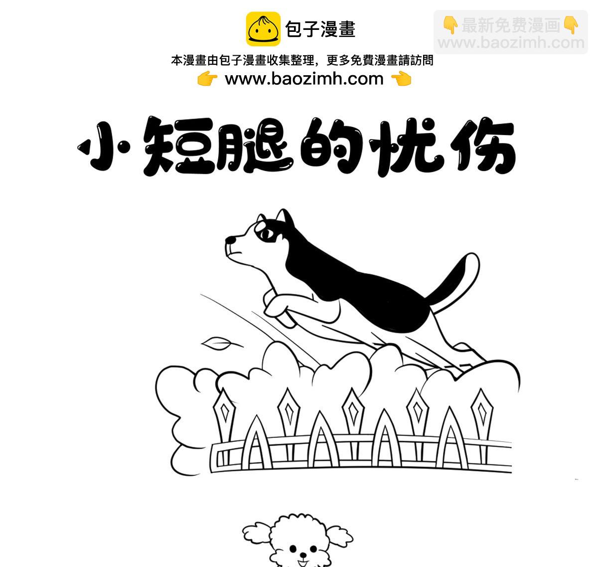 小短腿的忧伤-第7话