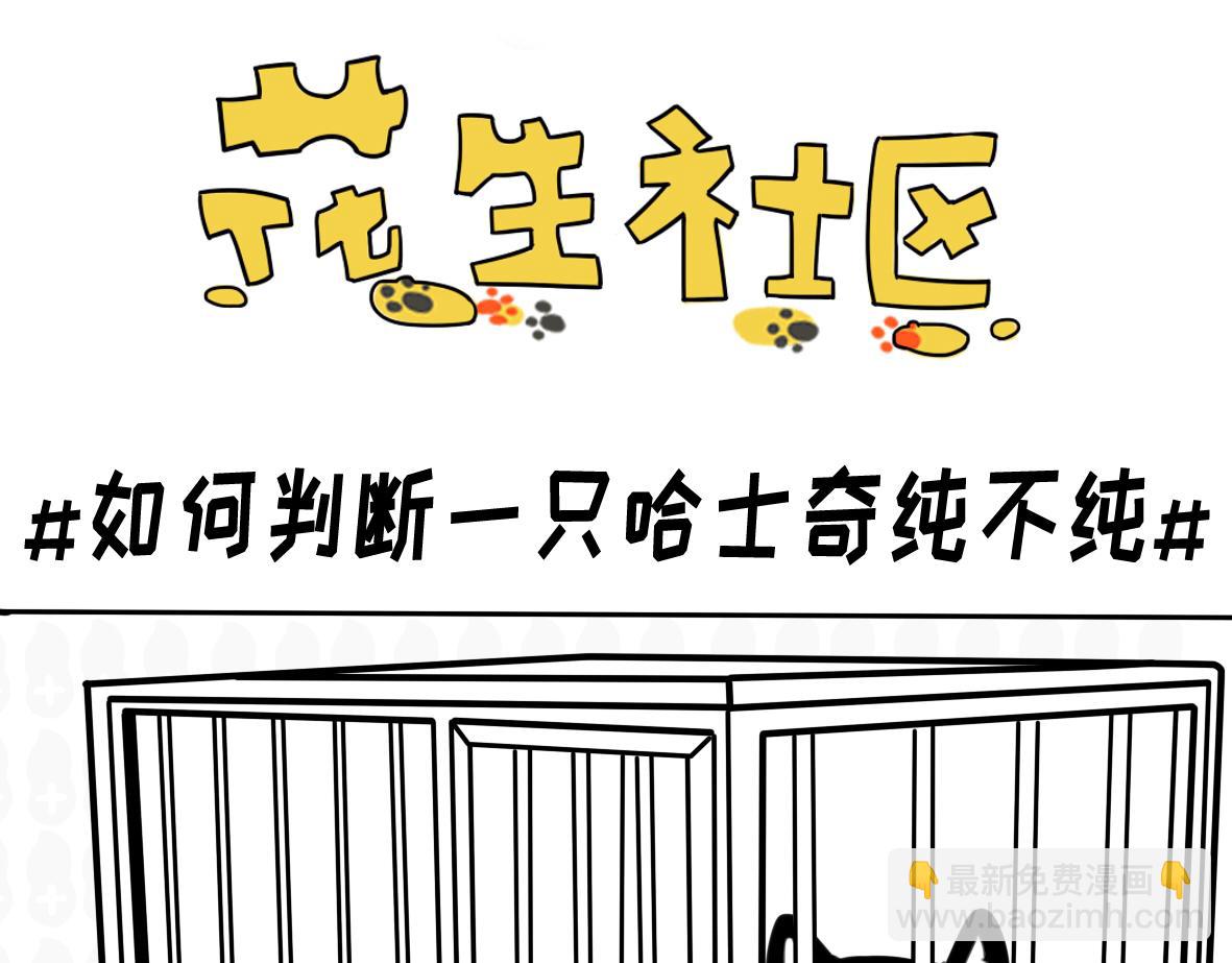 小短腿的忧伤-第7话