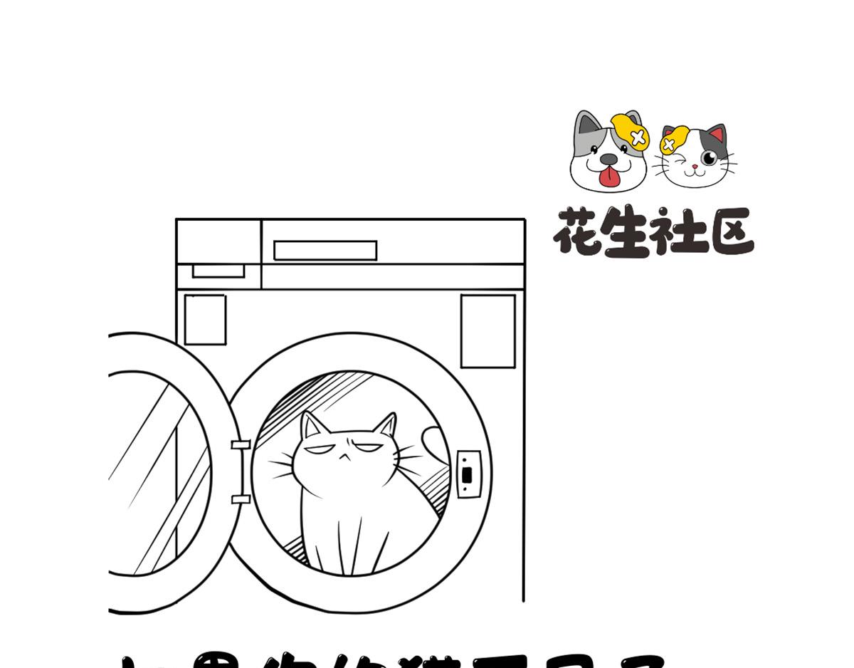 如果你的猫不见了...-第9话