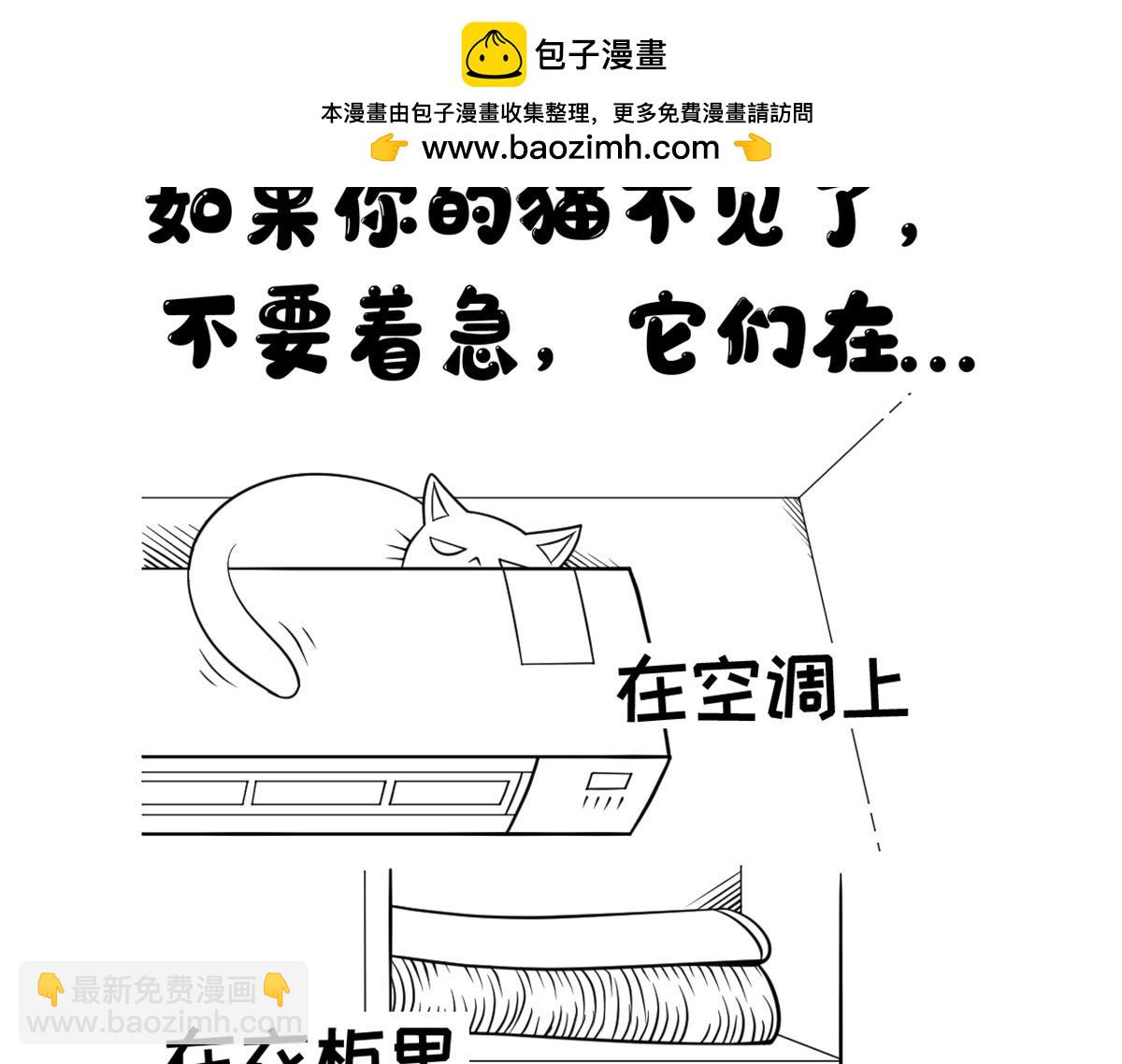 如果你的猫不见了...-第9话